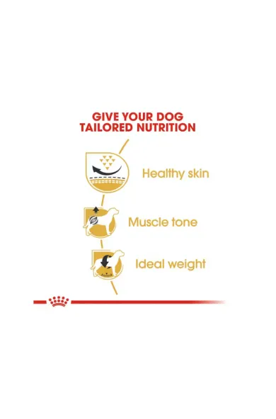Royal Canin Pug Adult Dry Dog Food - 1.5 kg