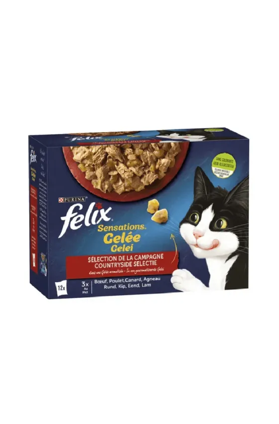 PURINA FELIX Sensations Mixed Variety Country Selection 85GR x12